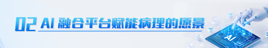 买十二生肖买马的官网